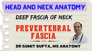 DEEP CERVICAL FASCIA  PREVERTEBRAL FASCIA [upl. by Merceer]