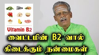 வைட்டமின் B2 வால் கிடைக்கும் நன்மைகள்  Vitamin B2  Riboflavin Benefits in Tamil [upl. by Idroj]