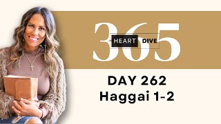 Days 262 Haggai 12  Daily One Year Bible Study  Audio Bible Reading with Commentary [upl. by Aimar]