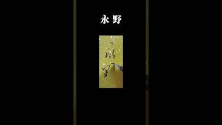 「永野」書道 shodo 서예 行書 草書 美文字 calligraphy 習字 手本 漢字 kanji clouds 永野 書道教室 習い事 日本の氏族 [upl. by Jane]