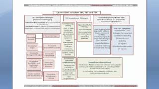 Übersicht Dissoziative und Somatoforme Störungen für die Heilpraktikerprüfung [upl. by Haneeja]