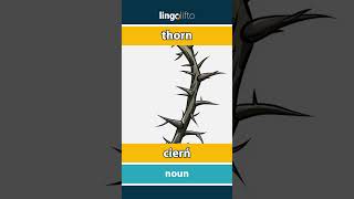 🇬🇧🇵🇱 thorn  cierń  vocabulary builder  learn English  Uczmy się angielskiego [upl. by Aisanat109]