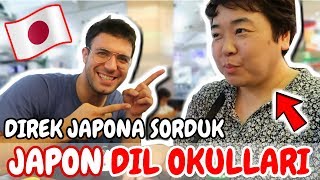 Japonyada Dil Okulları Ne kadar Japonca Nasıl Öğrenilir  Soru Cevap  Japon Hamza [upl. by Nosloc]