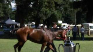 TUMUT CUP DAY RACES 2012 by quotRenaissance Gallery  AUSTRALIAquot [upl. by Ikairik]