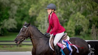 American Eventing Championships  Novice Show Jumping  Madison Ritsch amp Taylamor Penelope [upl. by Donetta]