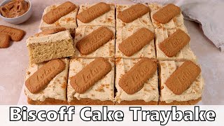 Biscoff Cake Traybake Recipe [upl. by Emmerich421]