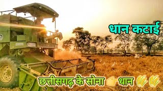 Dhan Katai ।। Harwester Se Dhan Kaise Katate Hai। Chhattisgarh Dhan Katai [upl. by Anij]