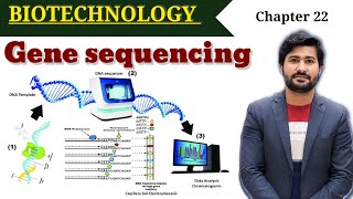 Gene Sequencing  Sangers methods  Dideoxy method  Maxim Gilbert method  Fsc class 12 [upl. by Nirac]