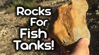 Collecting Rocks for Fish Tanks [upl. by Joceline]