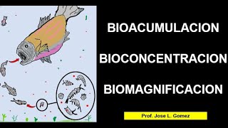 BIOACUMULACION BIOCONCENTRACION y BIOMAGNIFICACION [upl. by Vish]