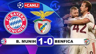 Bayern Münih 10 Benfica  Şampiyonlar Ligi Canlı Yayın [upl. by Canute961]