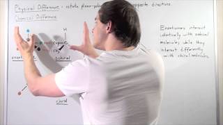 Chemical Differences between Enantiomers [upl. by Fachanan]