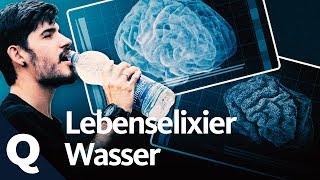 Wasser Lebenswichtig für den Menschen  Quarks [upl. by Floro]