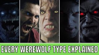 Every Werewolf Type In TEEN WOLF Explained  A Definitive Guide [upl. by Annamarie]