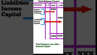 Trial Balance Format shorts shortsfeed trialbalance 11thclass 12thclass accounting [upl. by Mindy595]