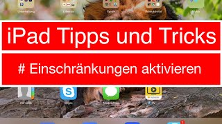 iPad Einschränkungen aktivieren Ungewolltes Löschen von Apps verhindern [upl. by Donough208]