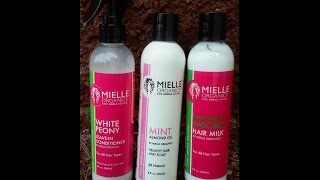 How I Moisturize My 4c Hair with Mielle Organics The4cProject [upl. by Hanikahs430]