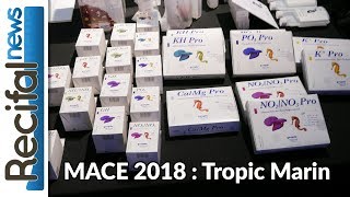 MACE 2018  Tropic Marin [upl. by Anayd333]