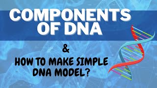 COMPONENTS OF DNA  HOW TO MAKE SIMPLE DNA MODEL GRADE 9 SCIENCE [upl. by Eliezer499]