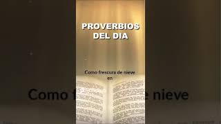 13 de Octubre  Proverbios del Dia [upl. by Beghtol]