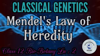 Mendelian Inheritance  Mendels Laws of Heredity in tamil  Classical Genetics [upl. by Yesnikcm]