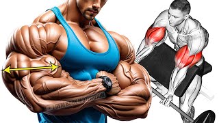 Biceps and Triceps Workout For Bigger Arms [upl. by Smalley477]