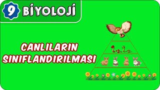 Canlıların Sınıflandırılması  9Sınıf Biyoloji [upl. by Blanc]