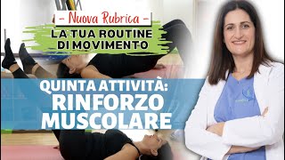 5 di 6 RINFORZO MUSCOLARE  5 Esercizi per costruire una schiena Resistente ed eliminare il dolore [upl. by Ciprian]