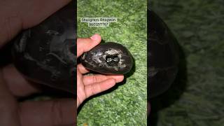 Shaligram Bhagwan  Nepal Gandki Nadishorts viralvideo [upl. by Nagol]