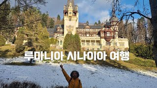 루마니아 예쁜 성 구경 가기 시나이아 여행  Travel to Sinaia to see the beautiful castle in Romania 2312 [upl. by Hebe]