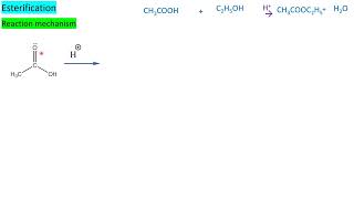 Esterification reaction mechanism2 CHEMISTRY TNSCERT [upl. by Heiney729]