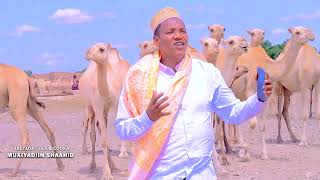 DHAANTO CUSUB  MUXIYADIIN SHAAHID  FARXIYA  OFFICIAL VIDEO 2024 [upl. by Kenweigh]