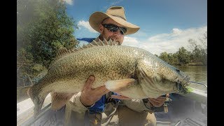 Murray Cod Hits Hookups Misses Vol 2 [upl. by Epilihp630]