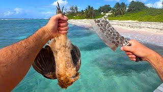 Catching Butchering amp Cooking a WILD CHICKEN on the Beach [upl. by Elleval]