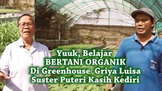 BERTANI ORGANIK Di Greenhouse Griya Luisa Suster Puteri Kasih Kediri [upl. by Bonnibelle]