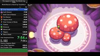 Minish Cap 100 Speedrun in 40956 [upl. by Tildie895]