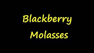 Mista Bobby V  Blackberry Molasses Lyrics [upl. by Eynobe]