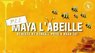 Pll  Maya labeille remix [upl. by Alvita]