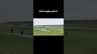 Cricket in canada Zalmi eagles [upl. by Anaiek]