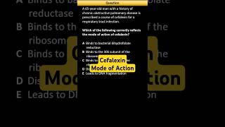 Cefalexin Mechanism of Action [upl. by Kcirednek]