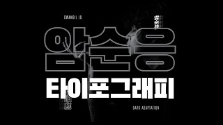 암순응 타이포그래피dark adaptation [upl. by Rorrys845]