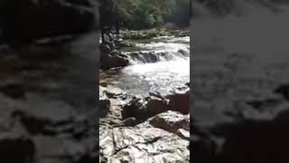 Panimur Waterfall picnicspot touristplace sortvideo [upl. by Iram]