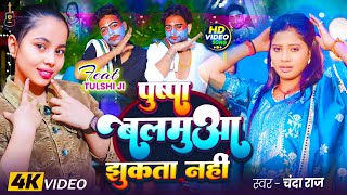 Video  पुष्पा बलम झुकता नहीं  Pushpa Jhukega Nhi Sala  Chanda Raj FtTulshi New Bhojpuri Song [upl. by Cordie]