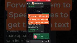 Easily Turn WhatsApp Voice Messages to Text [upl. by Octavla272]