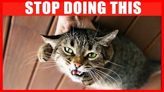 20 Things You Must Stop Doing to Your Cat [upl. by Eveline78]