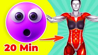 ➜ Do This 20MIN HIIT Workout for Beginners Over 40  Burn Fat and Boost Metabolism [upl. by Braunstein425]