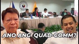 Ang totoong Baho ang Quadcommittee ibinisto [upl. by Eimiaj]