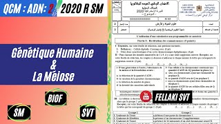 QCM2 2020 R BIOF  La méiose  la génétique humaine [upl. by Neerol943]