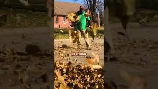 How to Use a Leaf Blower [upl. by Cormac]