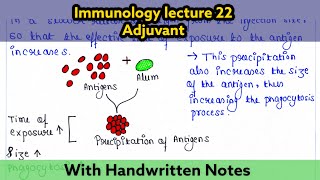 Adjuvant  Immunology lecture 22  Readymade notes for exam [upl. by Dodds682]